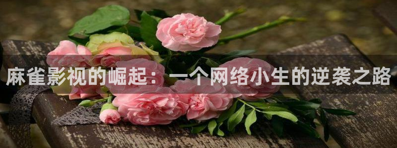 人人·影视：麻雀影视的崛起：一个网络小生的逆袭之路