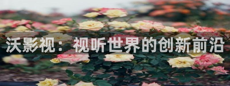 97精品超碰人人：沃影视：视听世界的创新前沿