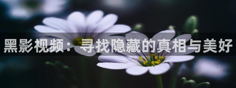 97视频在线观看人人