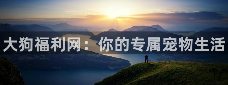 色人人影院：大狗福利网：你的专属宠物生活