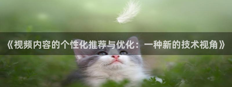 人人看片人人看特色大片：《视频内容的个性化推荐与优化：一种新的技术视角》