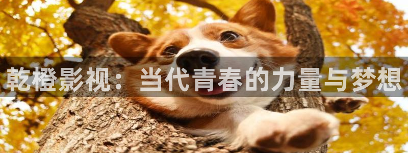 人人爽视频在线观看：乾橙影视：当代青春的力量与梦想