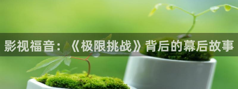 超碰97人人人人人蜜桃